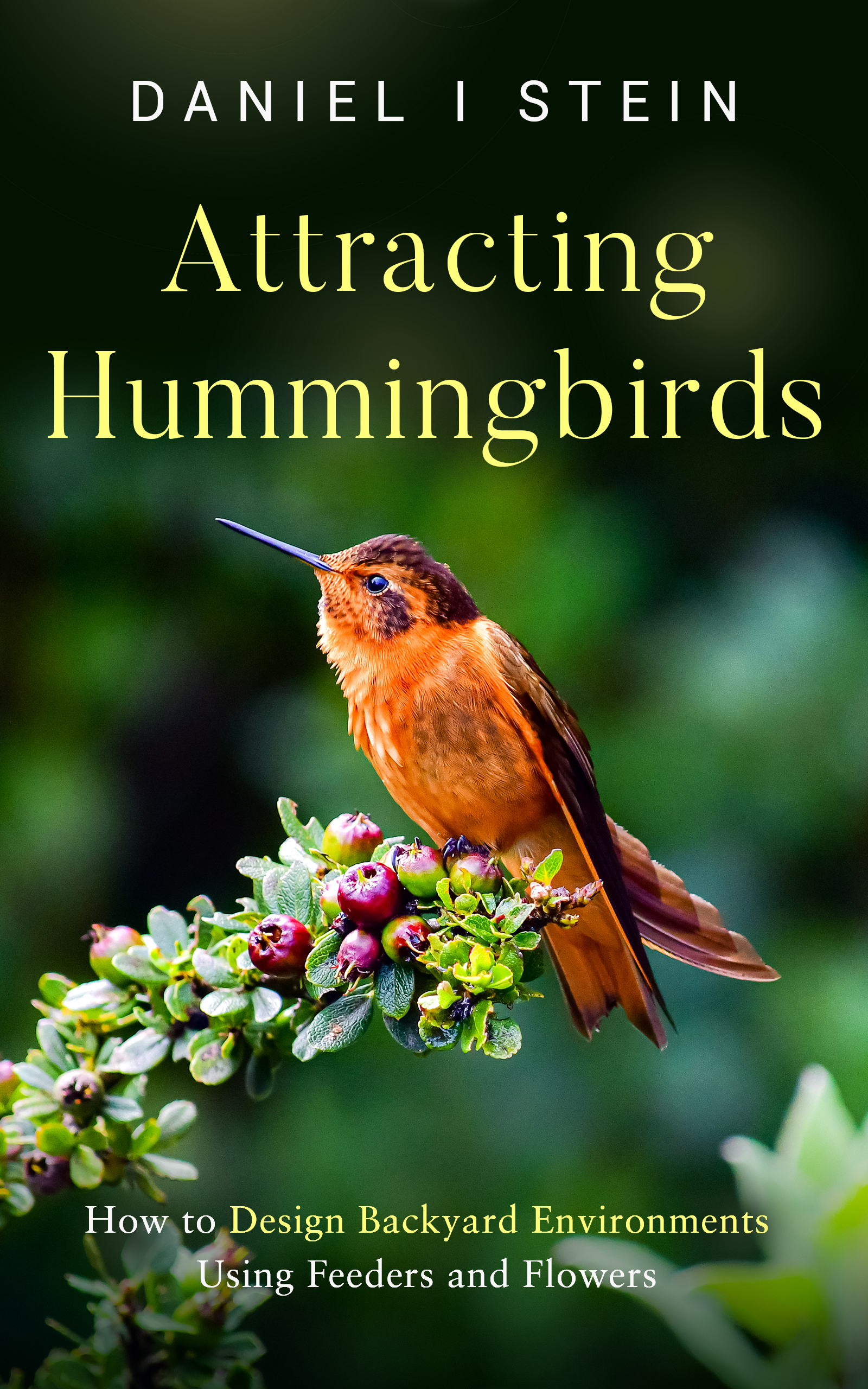 Attracting Hummingbirds book cover