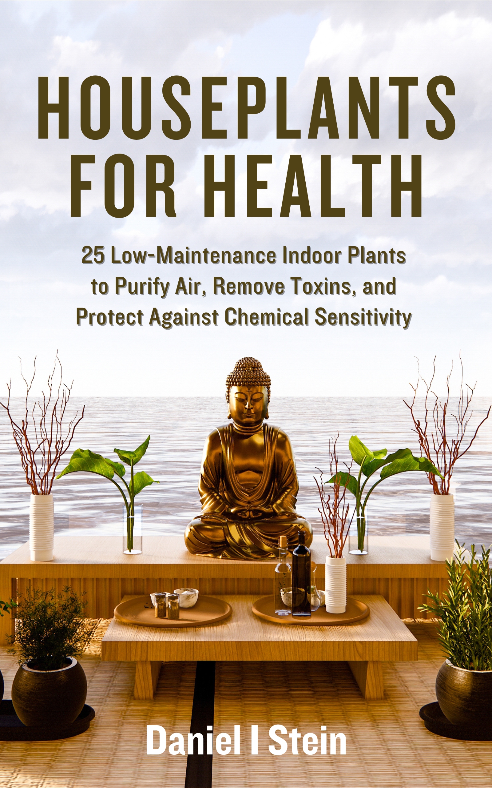 Houseplants for Health book cover